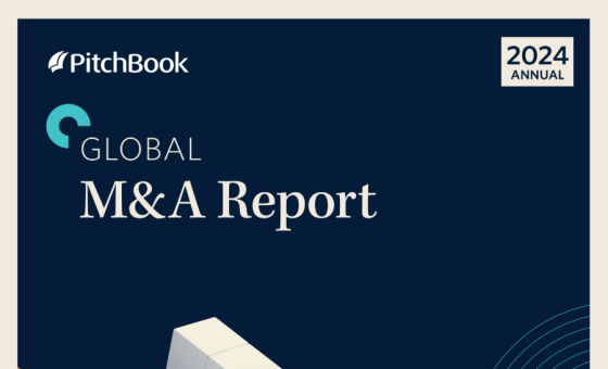 PitchBook – Global M&A Report, 2024 