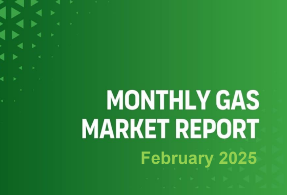 GECF – Monthly Gas Market Report, Feb 2025 