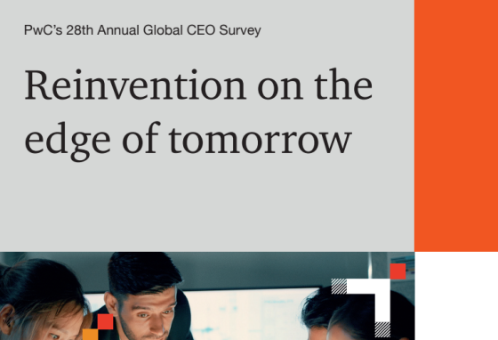 PwC – Reinvention on the Edge of Tomorrow, 2025 