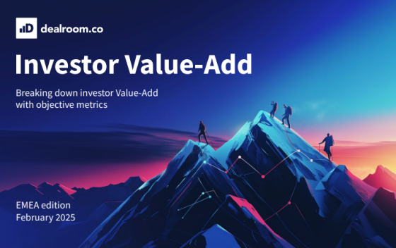 Dealroom.co – Investor Value-Add, Feb 2025 