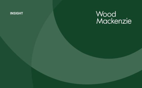 Wood Mackenzie – Global Gas and LNG: 5 Things to Look for in 2025, Jan 