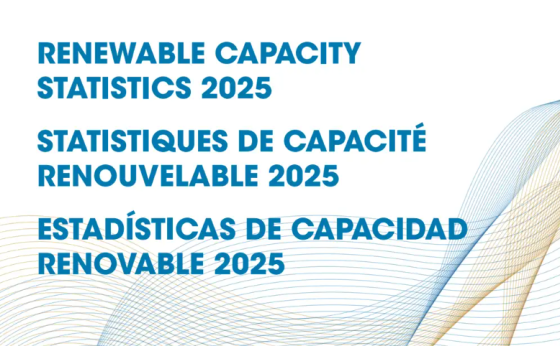 IRENA – Renewable Capacity Statistics 2025 