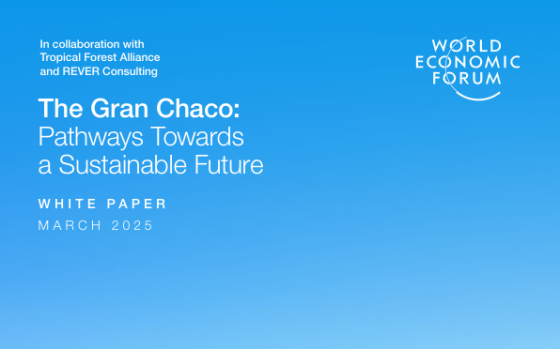 WEF – The Gran Chaco: Pathways Towards a Sustainable Future, Mar 2025 