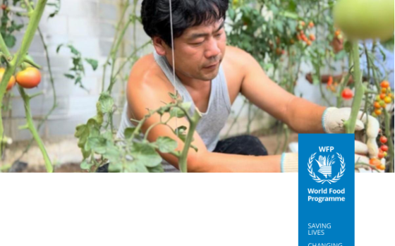 World Food Programme – China Annual Country Report, 2024 