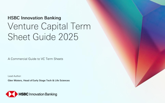 HSBC – Venture Capital Term Sheet Guide, 2025 