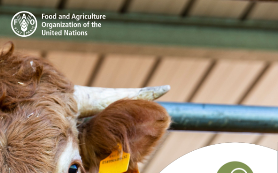 FAO – Meat Market Review: Overview of Global Market Developments, 2024 