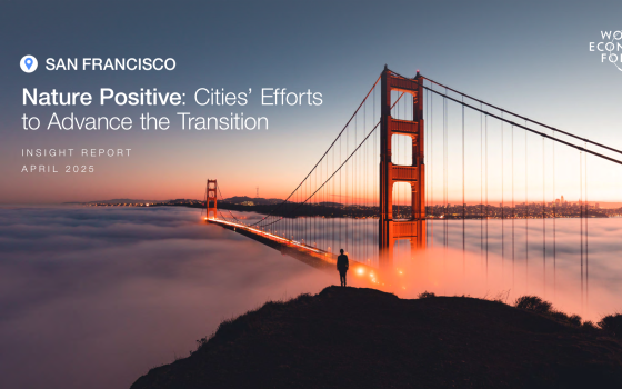 World Economic Forum – Nature Positive: Cities’ Efforts to Advance the Transition 