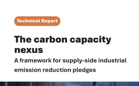 OECD – The Carbon Capacity Nexus 