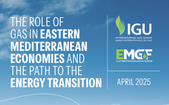 IGU – The Role of Gas in Eastern Mediterranean Economies and the Path to the Energy Transition 