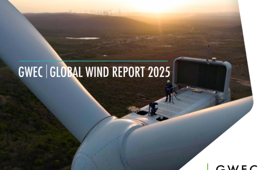 GWEC – Global Wind Report, 2025 