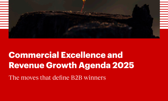 Bain – Commercial Excellence and Revenue Growth Agenda, 2025 