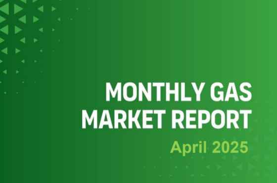 GECF – Monthly Gas Market Report, Apr 2025 