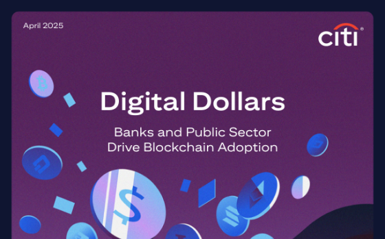Citi – Digital Dollars, 2025 