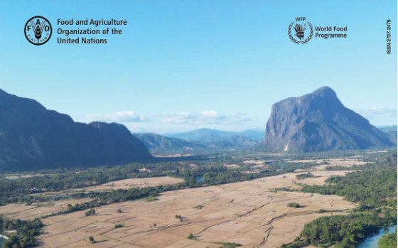 FAO/WFP – Special Report, 2024 
