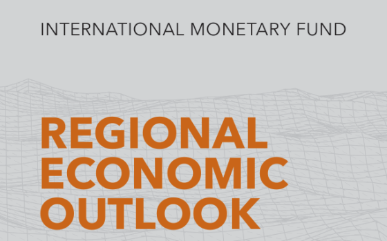 International Monetary Fund – Regional Economic Outlook: Sub-Saharan Africa - Recovery Interrupted 