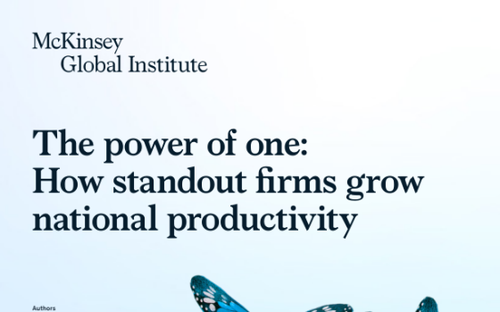 McKinsey Global Institute – The Power of One: How Standout Firms Drive National Productivity 
