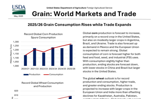 USDA – Grain: World Markets and Trade, May 2025 