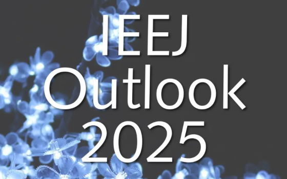IEEJ – Outlook 2025: Energy, Environment and Economy - How to Address the Uncertainties Surrounding the Energy Transition 