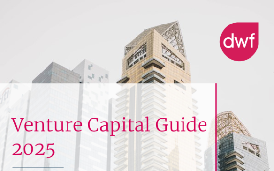DWF – Venture Capital Guide, 2025 