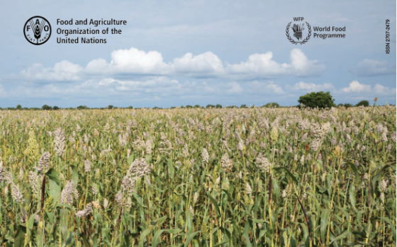 FAO/WFP – Crop and Food Security Assessment Mission to the Republic of South Sudan, 2024 