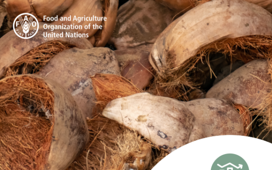 FAO – Jute, Kenaf, Sisal, Abaca, Coir and Allied Fibres Statistical Bulletin, 2024 