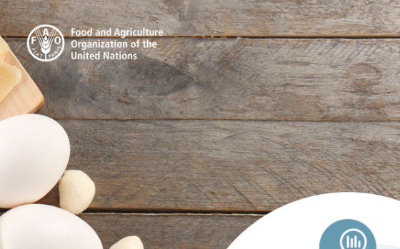 FAO – Dairy Market Review: Overview of Global Market Developments in 2024 