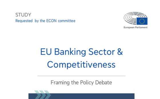 European Parliament – EU Banking Sector & Competitiveness: Framing the Policy Debate, May 2025 
