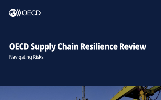 OECD – Supply Chain Resilience Review, 2025 