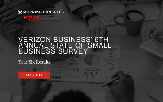 Verizon – Annual State of Small Business Survey, Apr 2025 