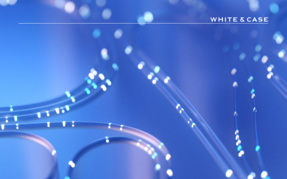 White & Case – EU AI Act Handbook, May 2025 
