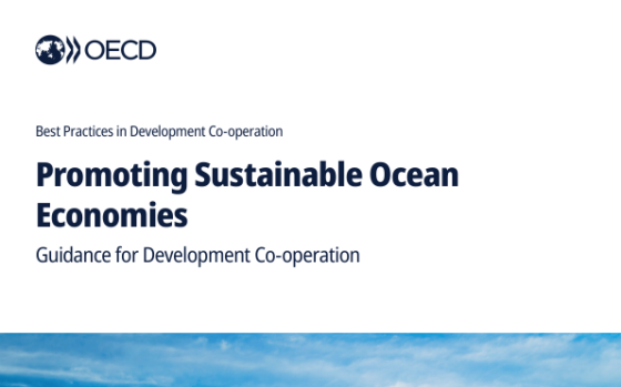 OECD – Promoting Sustainable Ocean Economies, 2025 