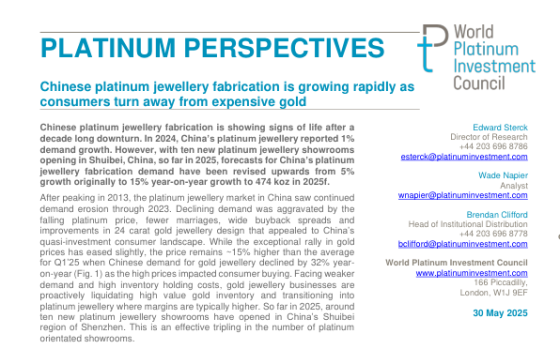 WPIC – Platinum Perspectives, May 2025 