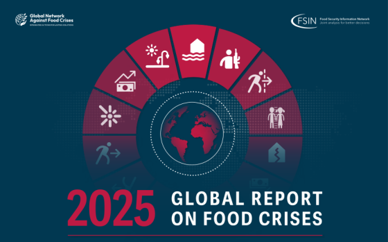 FSIN – Global Report on Food Crises 2025 