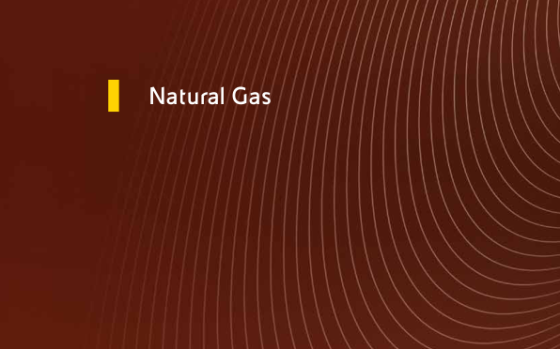 Eni and Enerdata – Natural Gas 