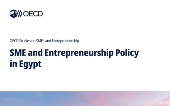 OECD – SME and Entrepreneurship Policy in Egypt, 2025 
