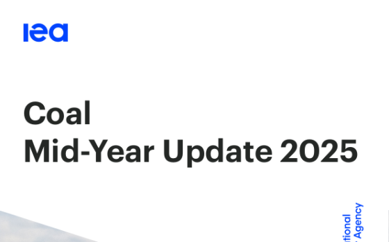 International Energy Agency – Coal Mid-Year Update, 2025 