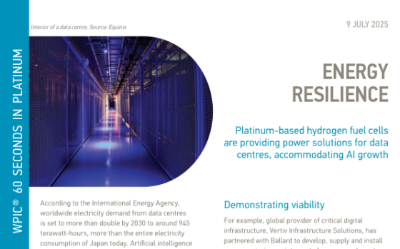 WPIC – Energy Resilience, Jul 2025 