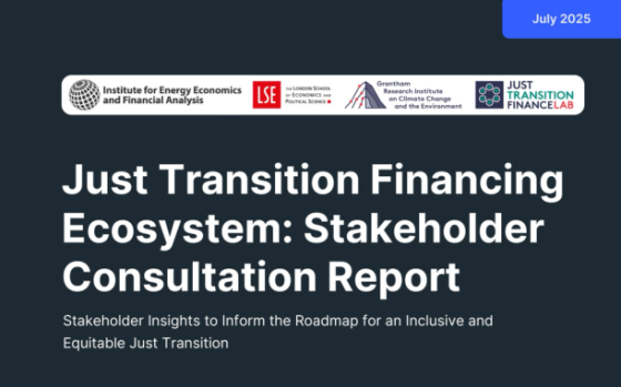 IEEFA – Just Transition Financing Ecosystem: Stakeholder Consultation Report 