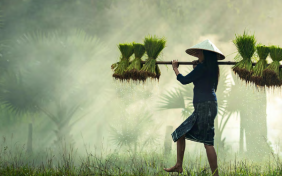 Ramsar – Global Wetland Outlook, 2025 