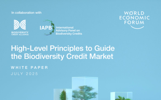 World Economic Forum – High-Level Principles to Guide the Biodiversity Credit Market 