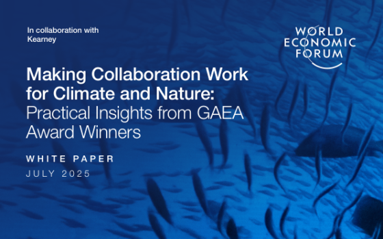 World Economic Forum – Making Collaboration Work for Climate and Nature 