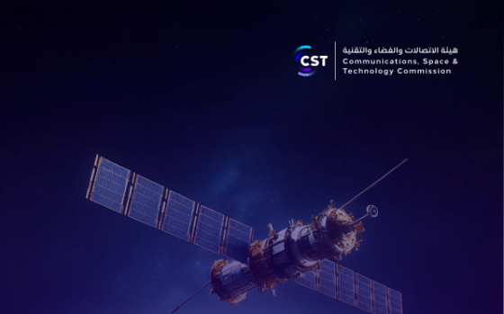 Coexisting Satellites and Future Terrestrial Networks – State-of-the-Art and Open Issues 