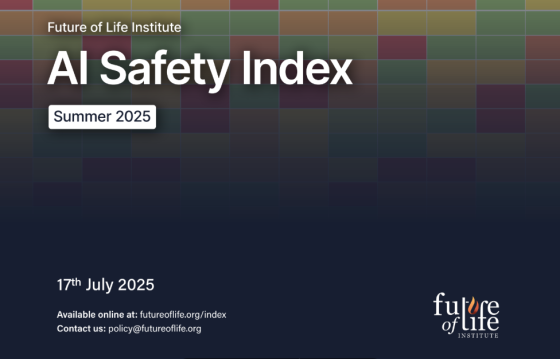 Future of Life Institute – AI Safety Index, Summer 2025 