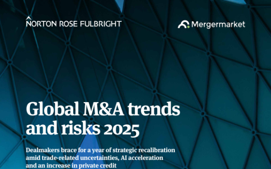 Norton Rose Fulbright – Global M&A Trends and Risks, 2025 