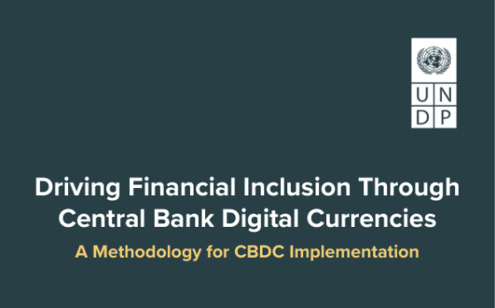 UNDP – Driving Financial Inclusion Through Central Bank Digital Currencies 