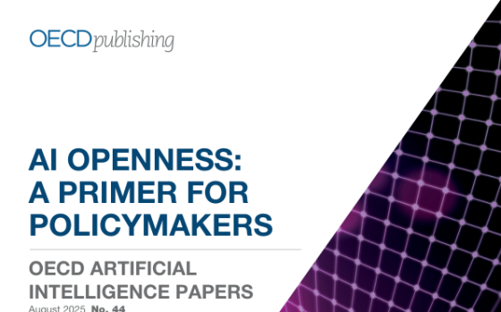 OECD – AI Openness: A Primer for Policymakers, Aug 2025 