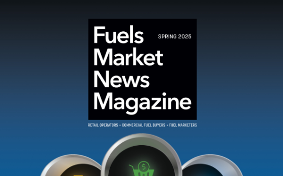 NorthAB, LLC – What Drives Consumers’ Purchases?, Spring 2025 