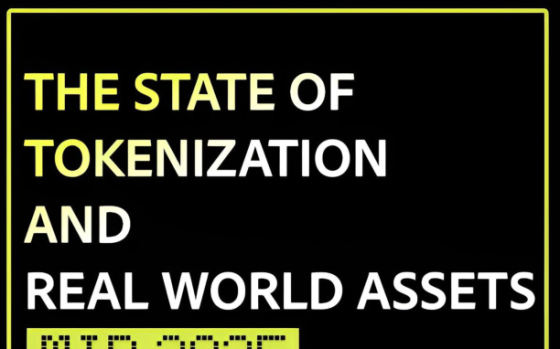 Firepan – The State of Tokenization and Real World Assets (RWAs), Mid-2025 