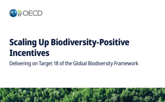 OECD – Scaling Up Biodiversity-Positive Incentives 