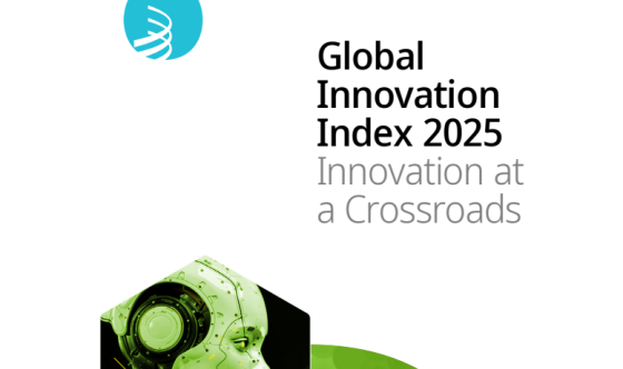 WIPO – Global Innovation Index, 2025 